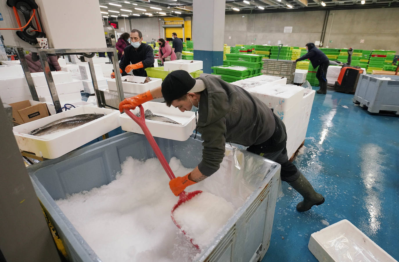 La lonja de Pasaia confirma que la Navidad será distinta, al detectarse en los encargos que las celebraciones van a ser de menos personas. Armadores, vendedores, mayoristas y minoristas trabajan estos días sin descanso para que ninguna familia o establecimiento hostelero se quede estas Navidades sin pescado fresco.