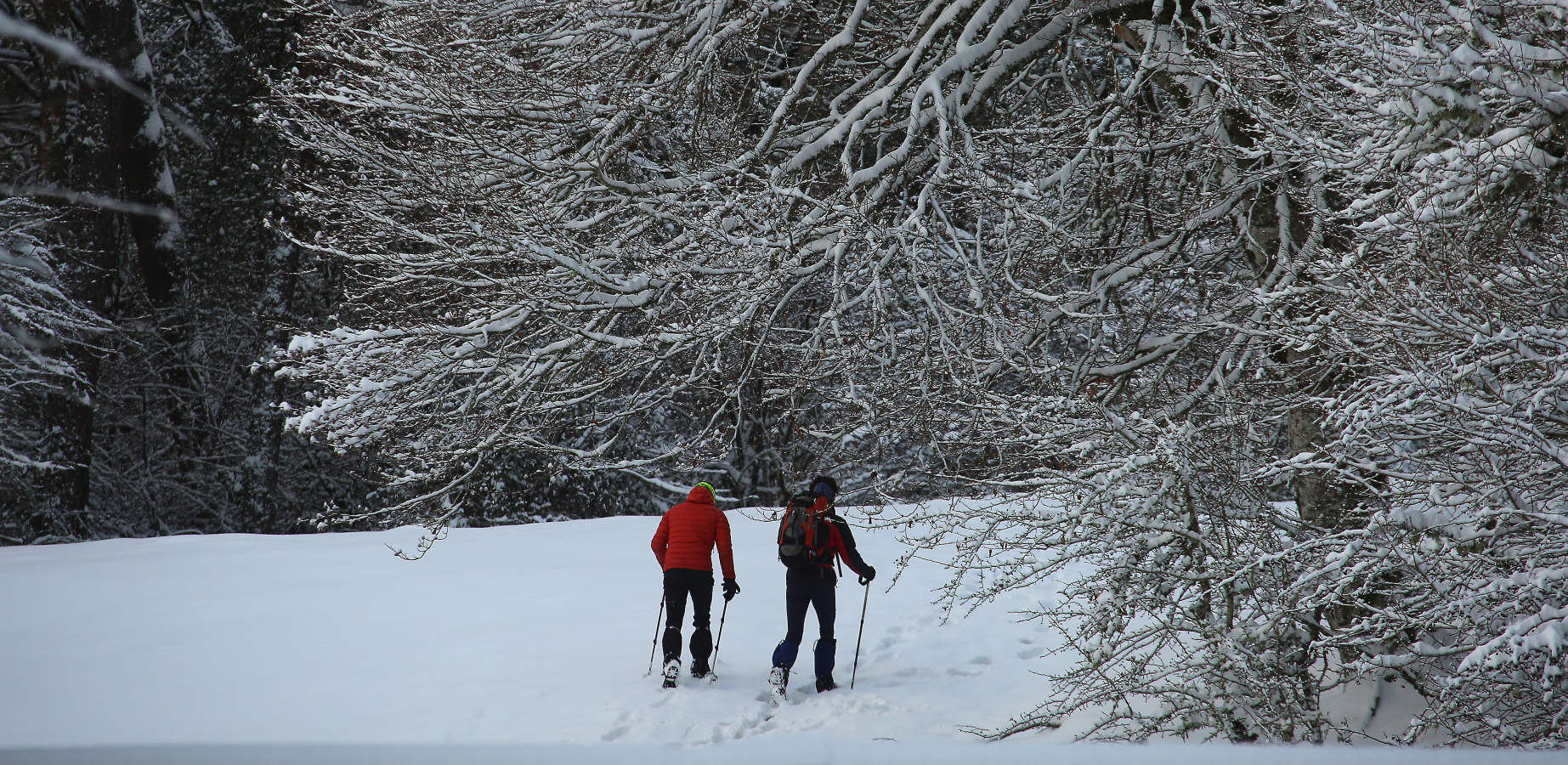 También durante todo el lunes se establecerá el aviso amarillo por nieve, ya que se espera que de madrugada la cota de nieve baje de los 1.000 a los 700 o los 800 meros, auque ocasionalmente puede llegar a 600 metros en áreas de tormenta. A partir del mediodía la cota de nieve podría situarse en el entorno de 800 a 1.000 metros.