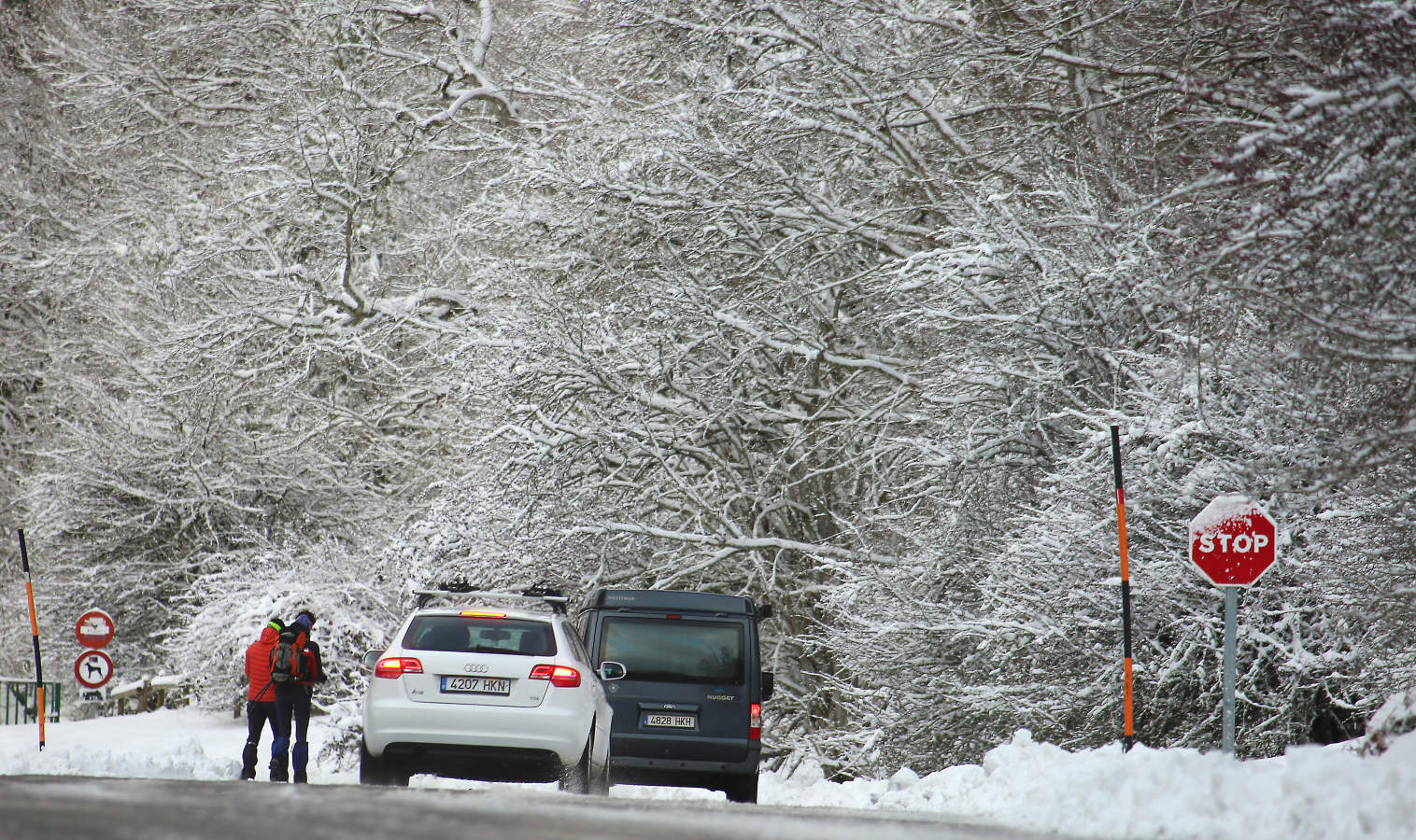 También durante todo el lunes se establecerá el aviso amarillo por nieve, ya que se espera que de madrugada la cota de nieve baje de los 1.000 a los 700 o los 800 meros, auque ocasionalmente puede llegar a 600 metros en áreas de tormenta. A partir del mediodía la cota de nieve podría situarse en el entorno de 800 a 1.000 metros.