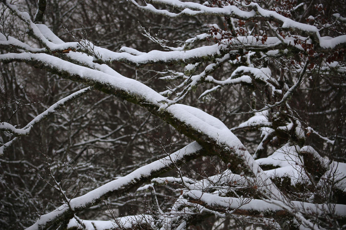 También durante todo el lunes se establecerá el aviso amarillo por nieve, ya que se espera que de madrugada la cota de nieve baje de los 1.000 a los 700 o los 800 meros, auque ocasionalmente puede llegar a 600 metros en áreas de tormenta. A partir del mediodía la cota de nieve podría situarse en el entorno de 800 a 1.000 metros.
