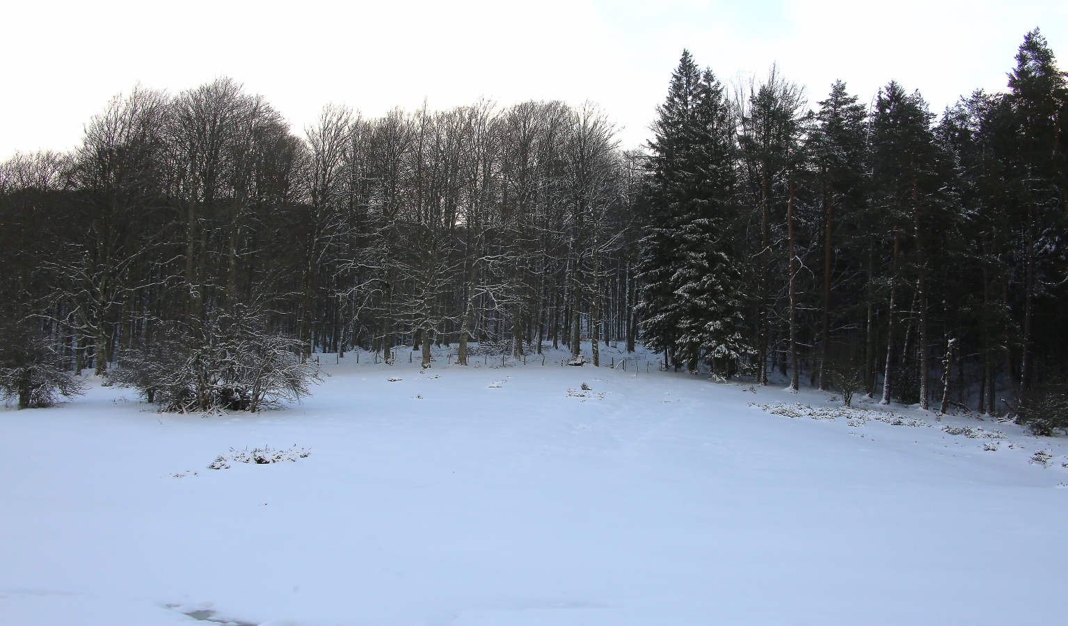 También durante todo el lunes se establecerá el aviso amarillo por nieve, ya que se espera que de madrugada la cota de nieve baje de los 1.000 a los 700 o los 800 meros, auque ocasionalmente puede llegar a 600 metros en áreas de tormenta. A partir del mediodía la cota de nieve podría situarse en el entorno de 800 a 1.000 metros.