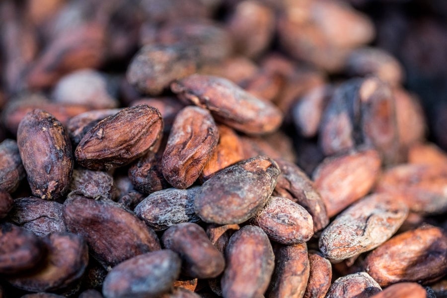 Aunque pequeño frente a los gigantes de América del Sur, Haití está desarrollando lentamente su industria del cacao para garantizar mejores ingresos a miles de agricultores modestos y acabar con el estereotipo del arte gastronómico conocido como el dominio de los países ricos. 