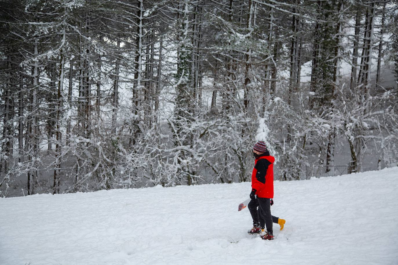 Decenas de personas han disfrutado este domingo en la nieve en el Alto de Etzegarate, en el término de Idiazabal.