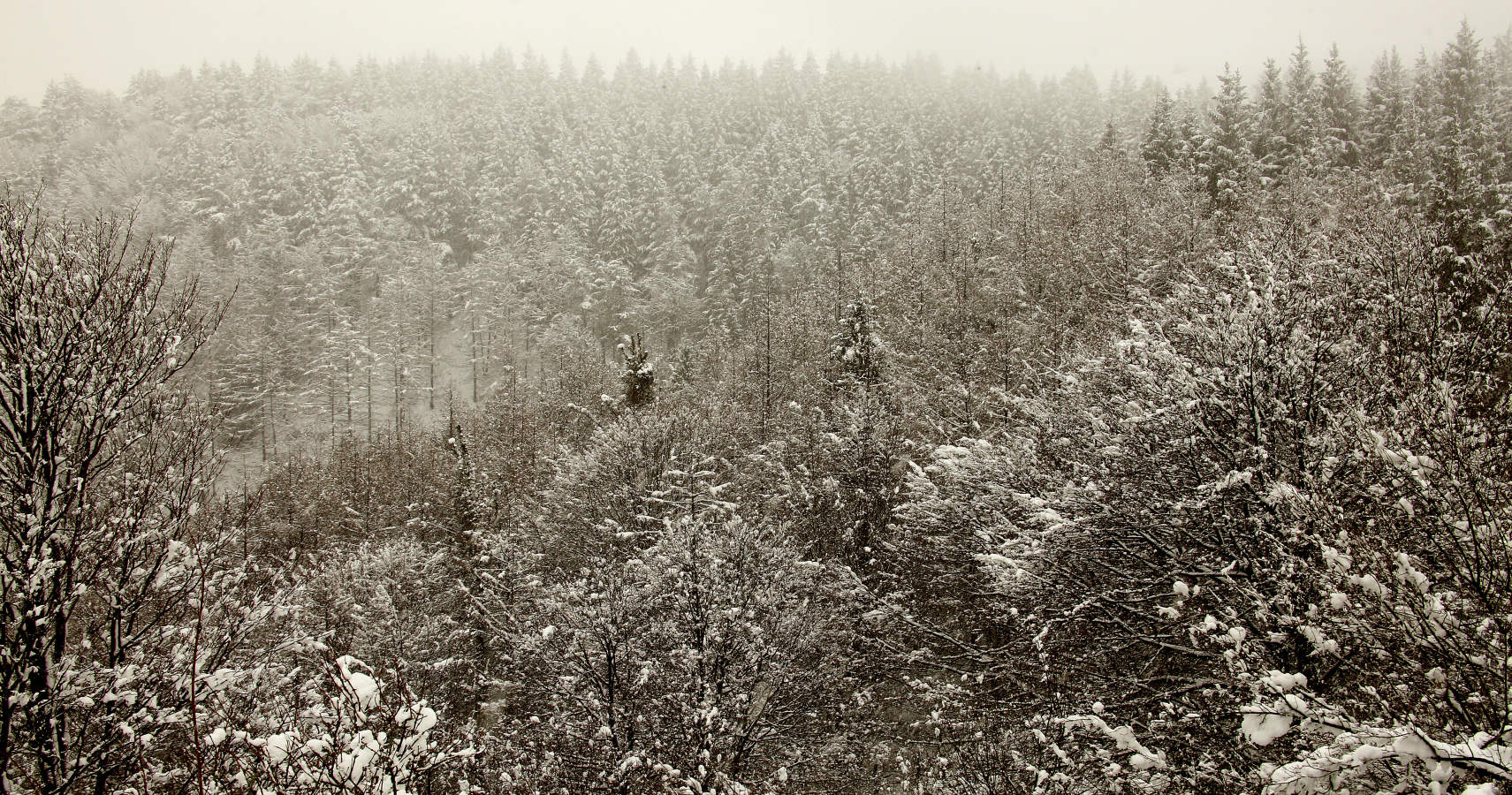 El Departamento vasco de Seguridad mantiene para este martes el aviso amarillo ante la previsión de que la cota de nieve pueda situarse entre los 200 y los 400 metros. Asimismo, se activará aviso amarillo para esta próxima jornada y la del miércoles por riesgo de heladas en el interior.