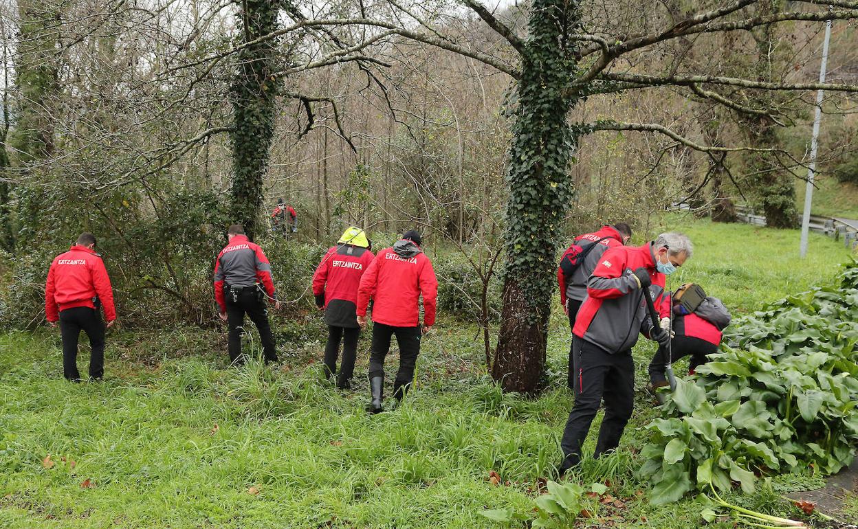 Varios ertzainas peinan el lugar donde se halló el cuerpo para buscar cualquier prueba que ayude a resolver el caso