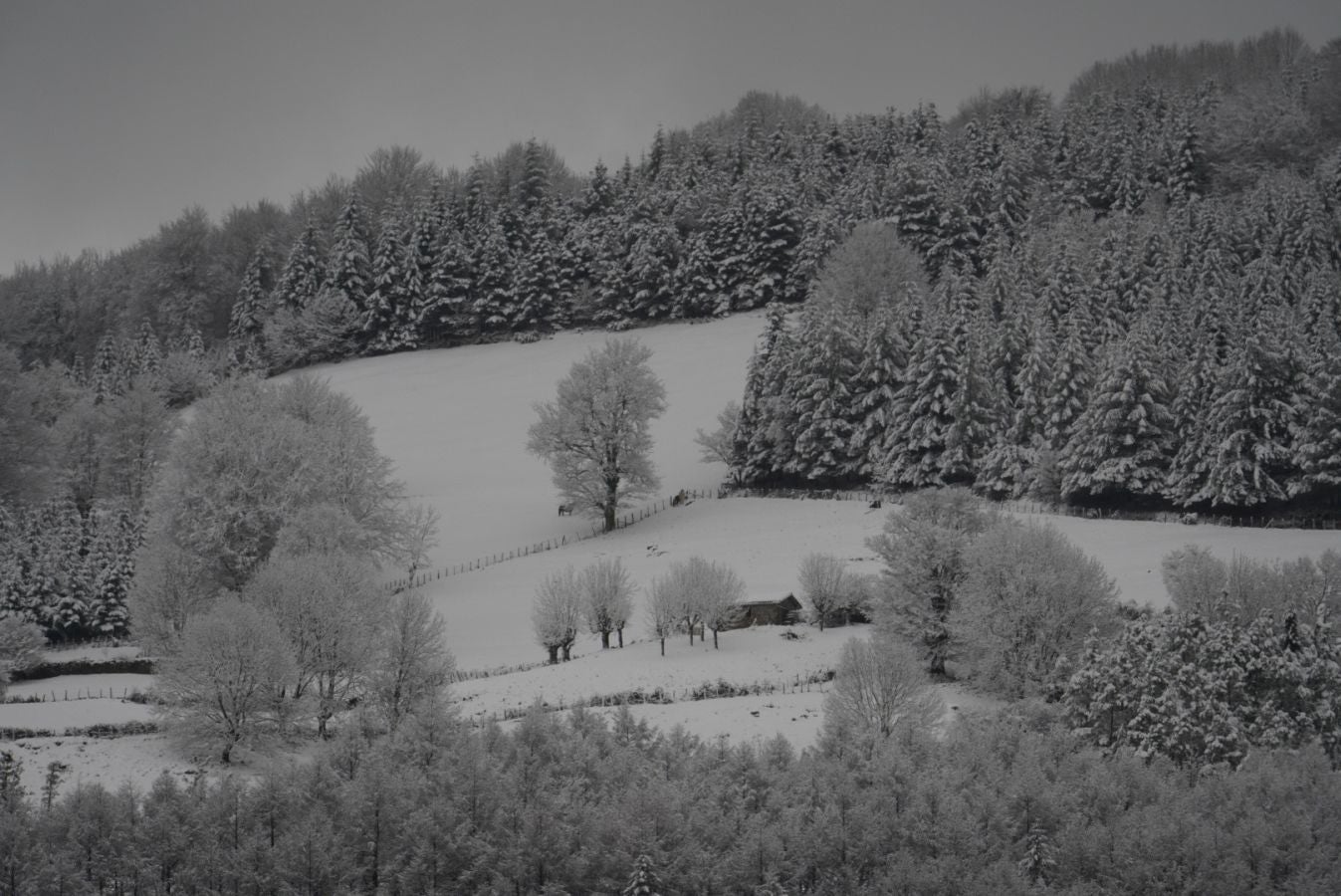 Los termómetros han marcado mínimas por debajo de los cero grados en buena parte de Gipuzkoa. La mínima la ha vuelto a marcar esta pasada madrugada Berastegi con -7,1 grados