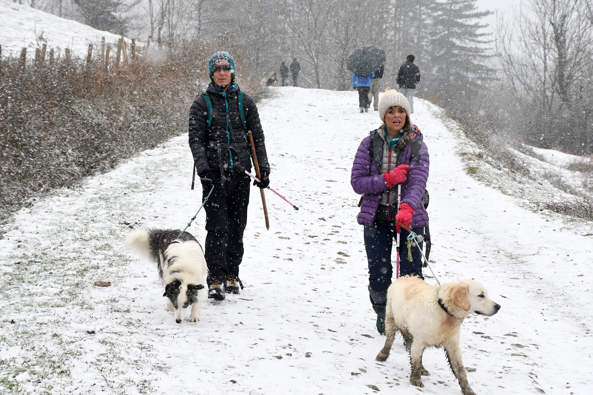 Los copos de nieve cubren las localidades de mayor altitud del territorio