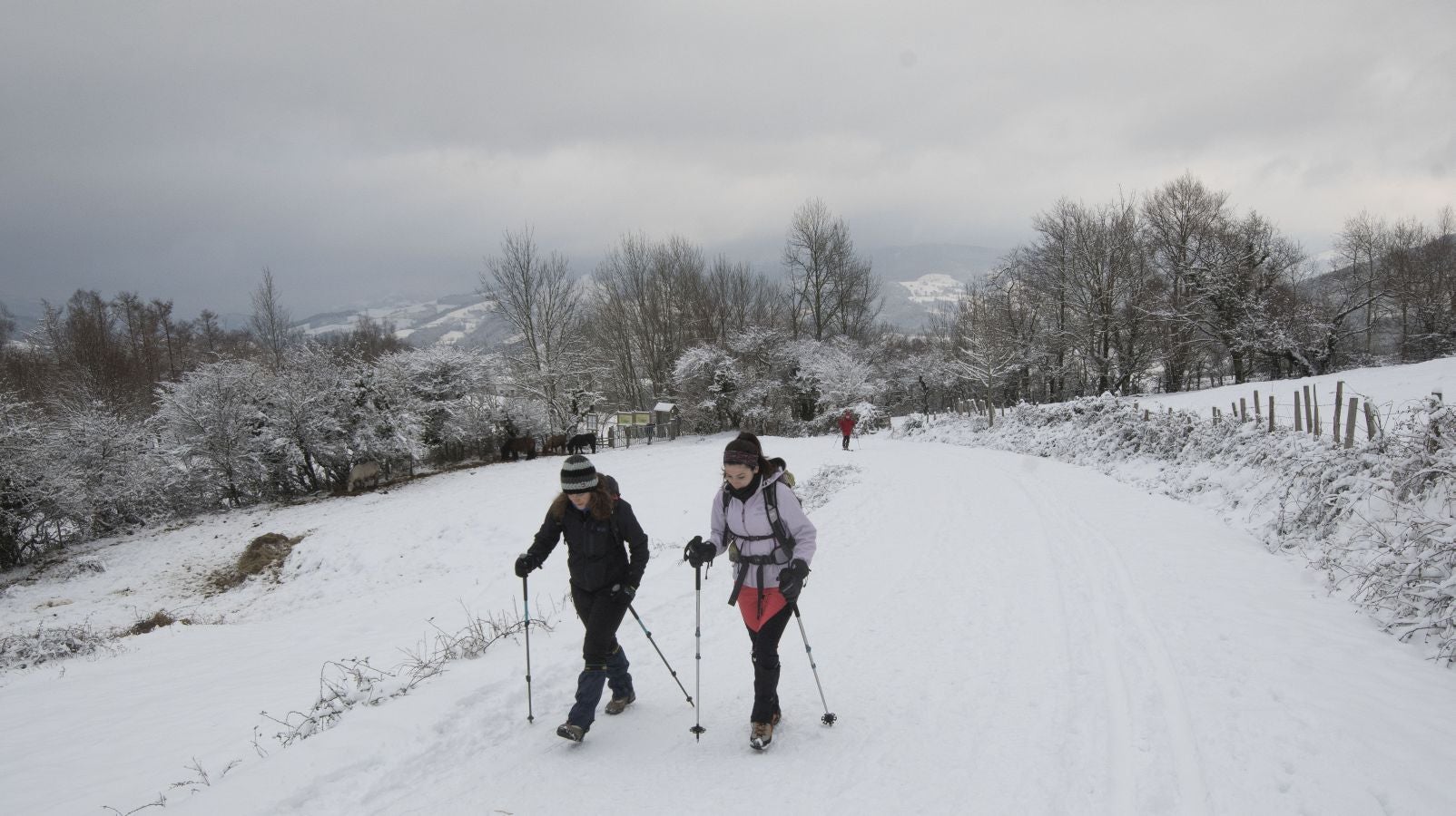 Multitud de personas han disfrutado de la nieve en puntos como el monte Uzturre, Larraiz, el alto de Arrate o la ermita de La Antigua. También se han teñido de blanco los municipios de Albizturl, Gaztelu