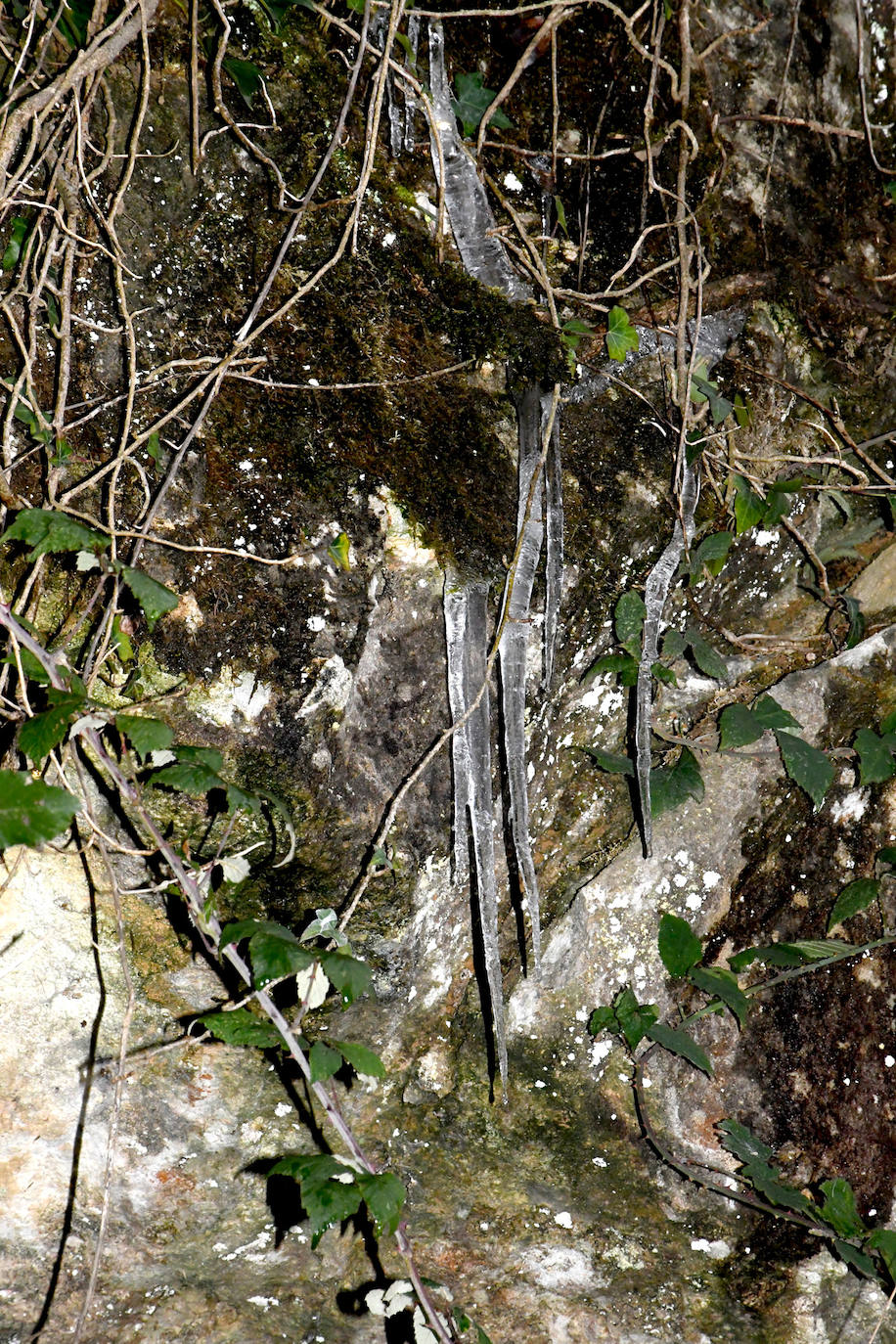 Multitud de personas han disfrutado de la nieve en puntos como el monte Uzturre, Larraiz, el alto de Arrate o la ermita de La Antigua. También se han teñido de blanco los pueblos de Albiztur, Gaztelu, Izaskun, Alkiza y Leaburu.