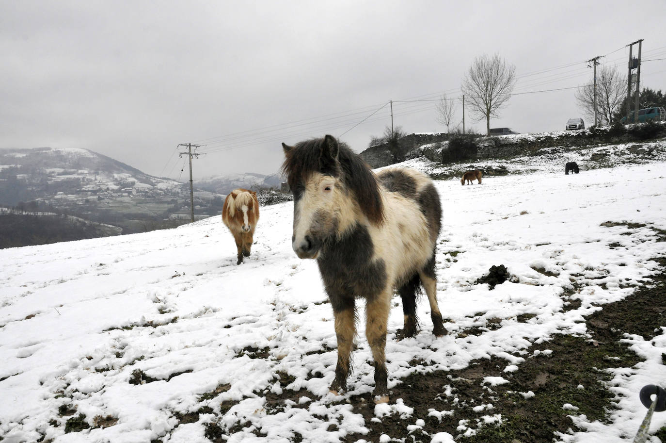 Multitud de personas han disfrutado de la nieve en puntos como el monte Uzturre, Larraiz, el alto de Arrate o la ermita de La Antigua. También se han teñido de blanco los pueblos de Albiztur, Gaztelu, Izaskun, Alkiza y Leaburu.