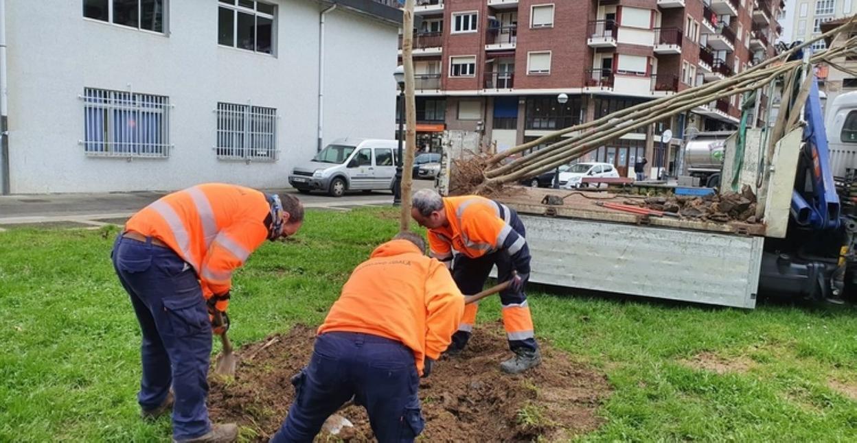 Labores de construcción del parque. 