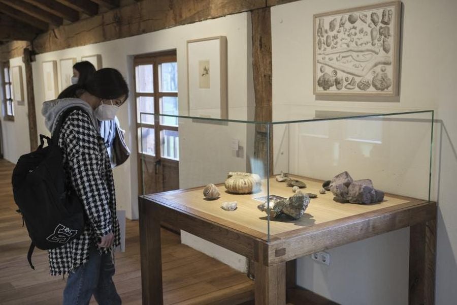 Fotos: ‘Leges naturae’, nueva exposición en Chillida Leku
