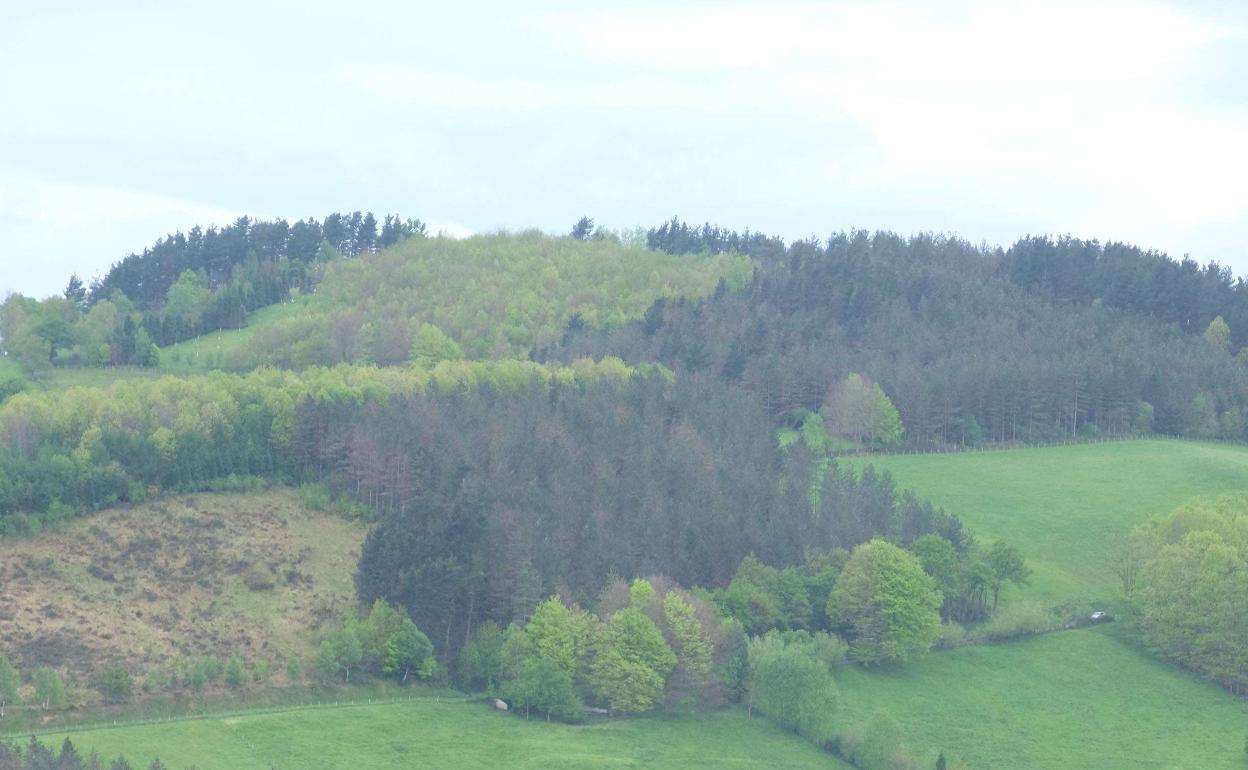 Aralarren azienda kopuru murrizketa eskaera salatu dute