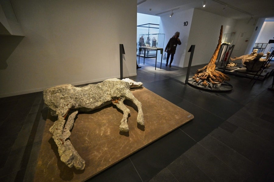 La ciudad romana de Pompeya, un vasto sitio arqueológico ubicado en la región de Campania, es el lugar de trabajo de decenas de arqueólogos e historiadores que, campaña tras campaña, desentierran el pasado de la ciudad que, en el año 79 d.C. quedó enterrado bajo metros de cenizas tras la erupción del monte Vesubio.