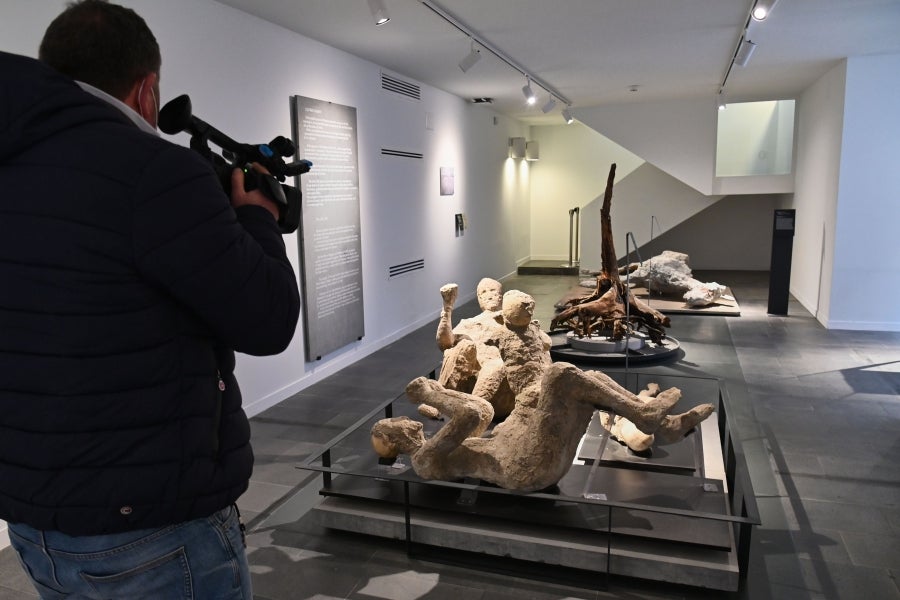 La ciudad romana de Pompeya, un vasto sitio arqueológico ubicado en la región de Campania, es el lugar de trabajo de decenas de arqueólogos e historiadores que, campaña tras campaña, desentierran el pasado de la ciudad que, en el año 79 d.C. quedó enterrado bajo metros de cenizas tras la erupción del monte Vesubio.
