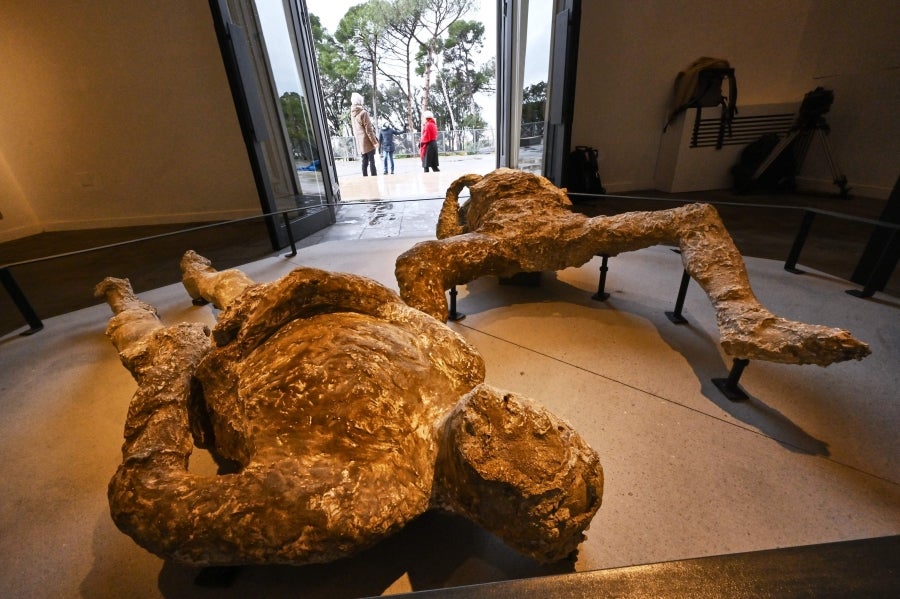 La ciudad romana de Pompeya, un vasto sitio arqueológico ubicado en la región de Campania, es el lugar de trabajo de decenas de arqueólogos e historiadores que, campaña tras campaña, desentierran el pasado de la ciudad que, en el año 79 d.C. quedó enterrado bajo metros de cenizas tras la erupción del monte Vesubio.