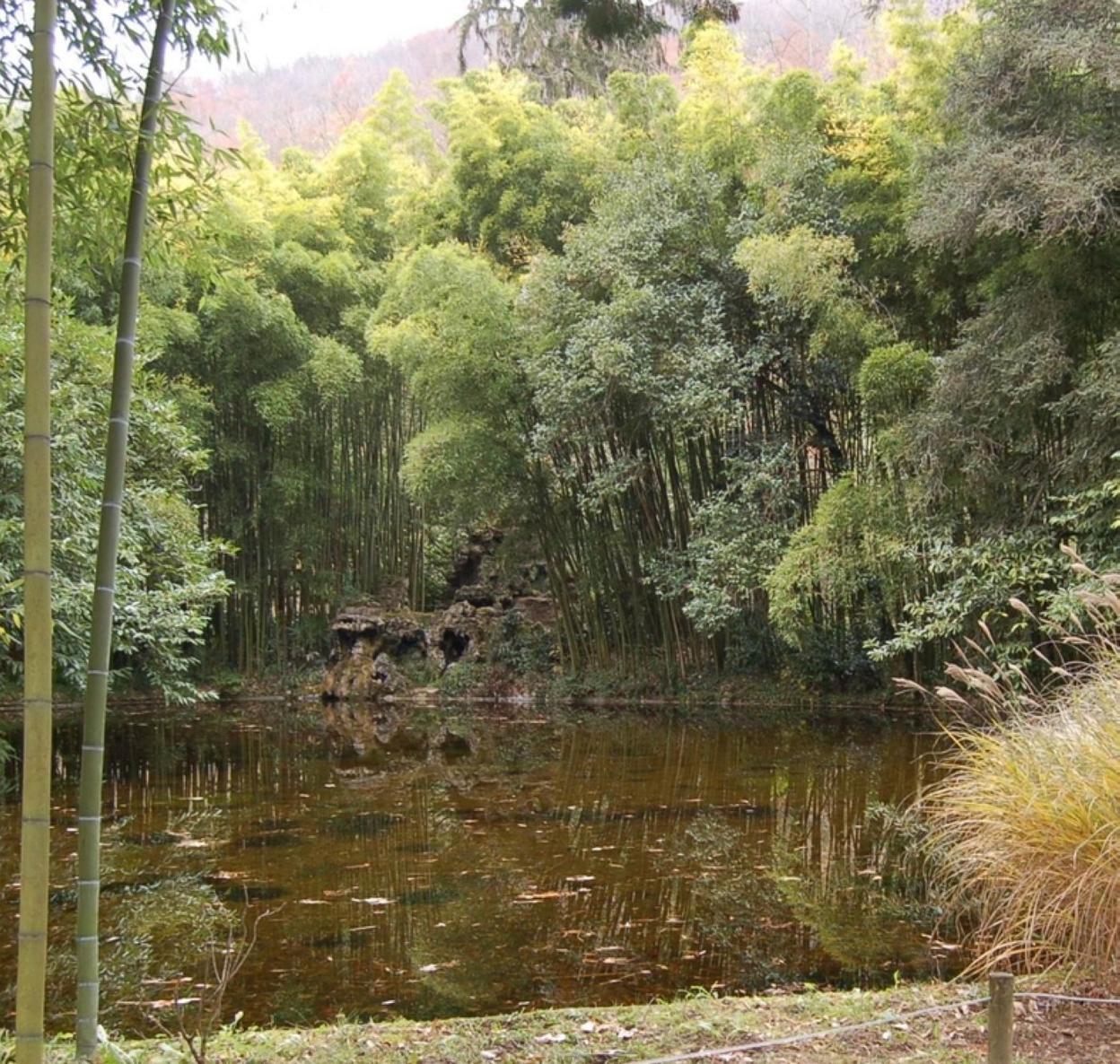Parque Natural del Señorío de Bertiz. 