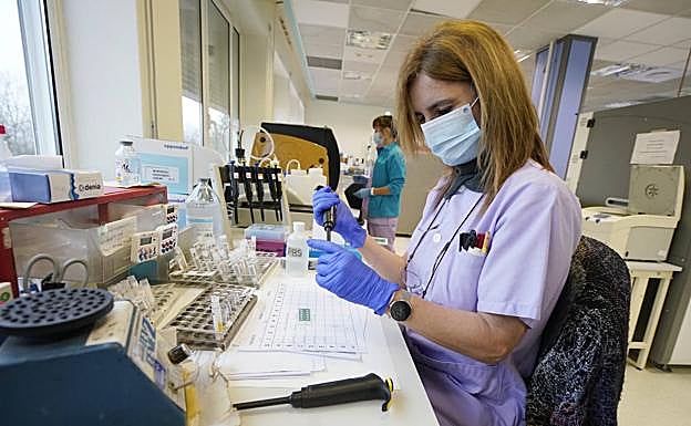 Imagen principal - Coronavirus en Gipuzkoa: El 5% de los positivos en covid detectados en Gipuzkoa corresponden ya a la variante británica