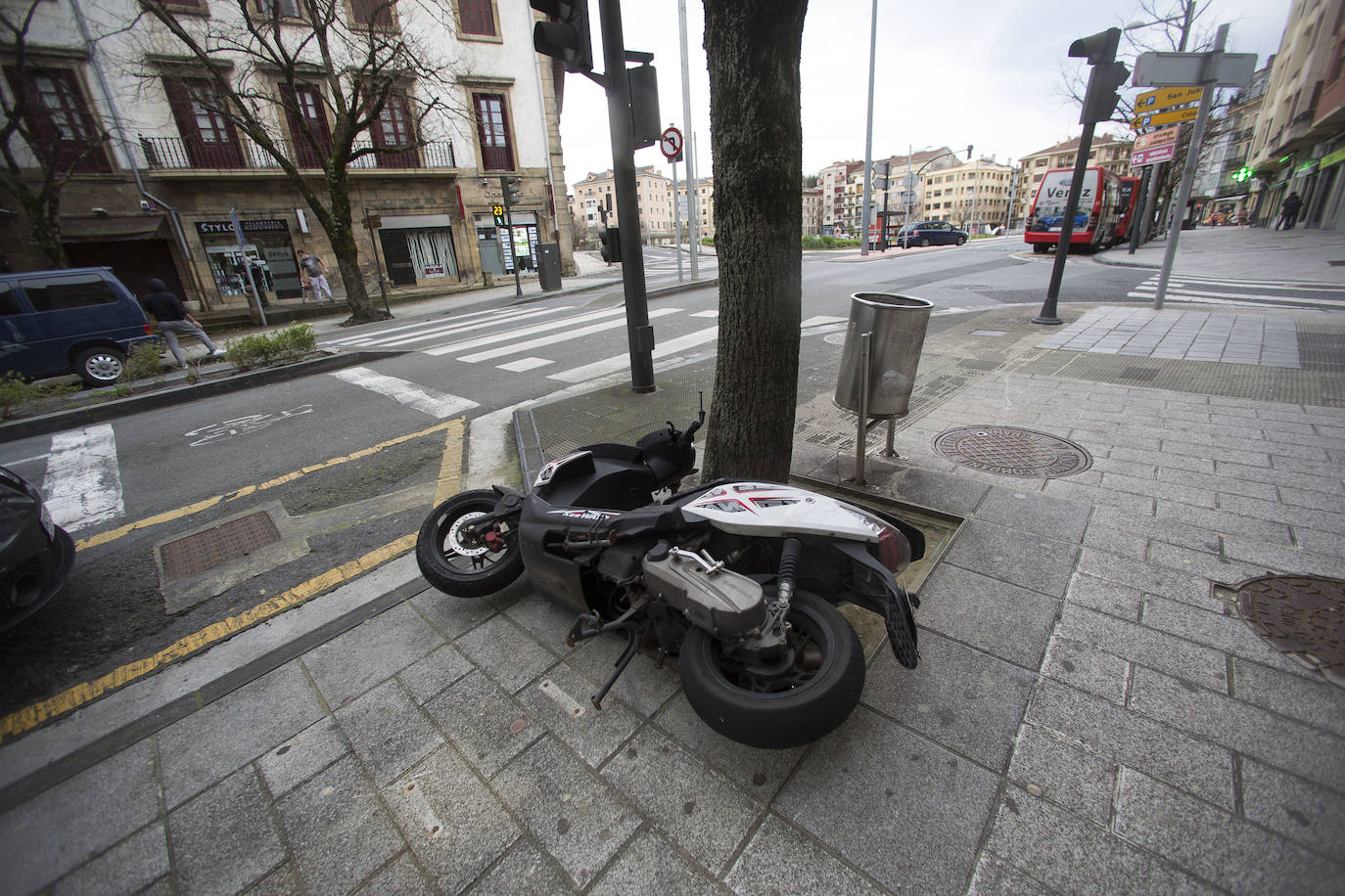 Un árbol de grandes dimensiones se ha caído en la plazoleta del Junkal de Irun. 