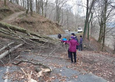 Imagen secundaria 1 - Carretera bloqueada por la caída de dos árboles en Artikutza. 