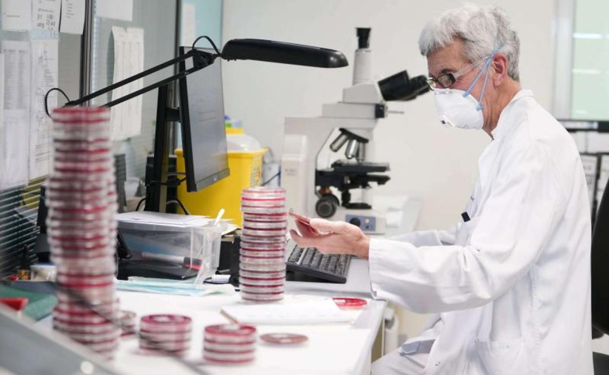 En la red de laboratorios de Osakidetza se han analizado este último año 2,3 millones de pruebas y se han detectado 148.000 positivos por coronavirus. 