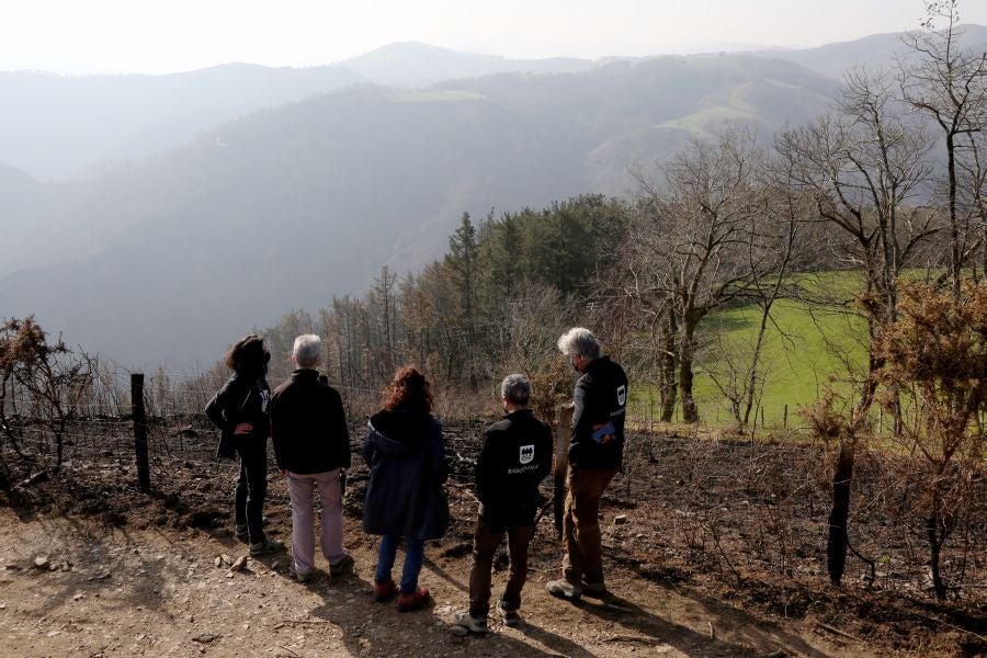 La Diputación de Gipuzkoa y el Ayuntamiento de Irun han hecho balance de los daños causados por el fuego de hace dos semanas