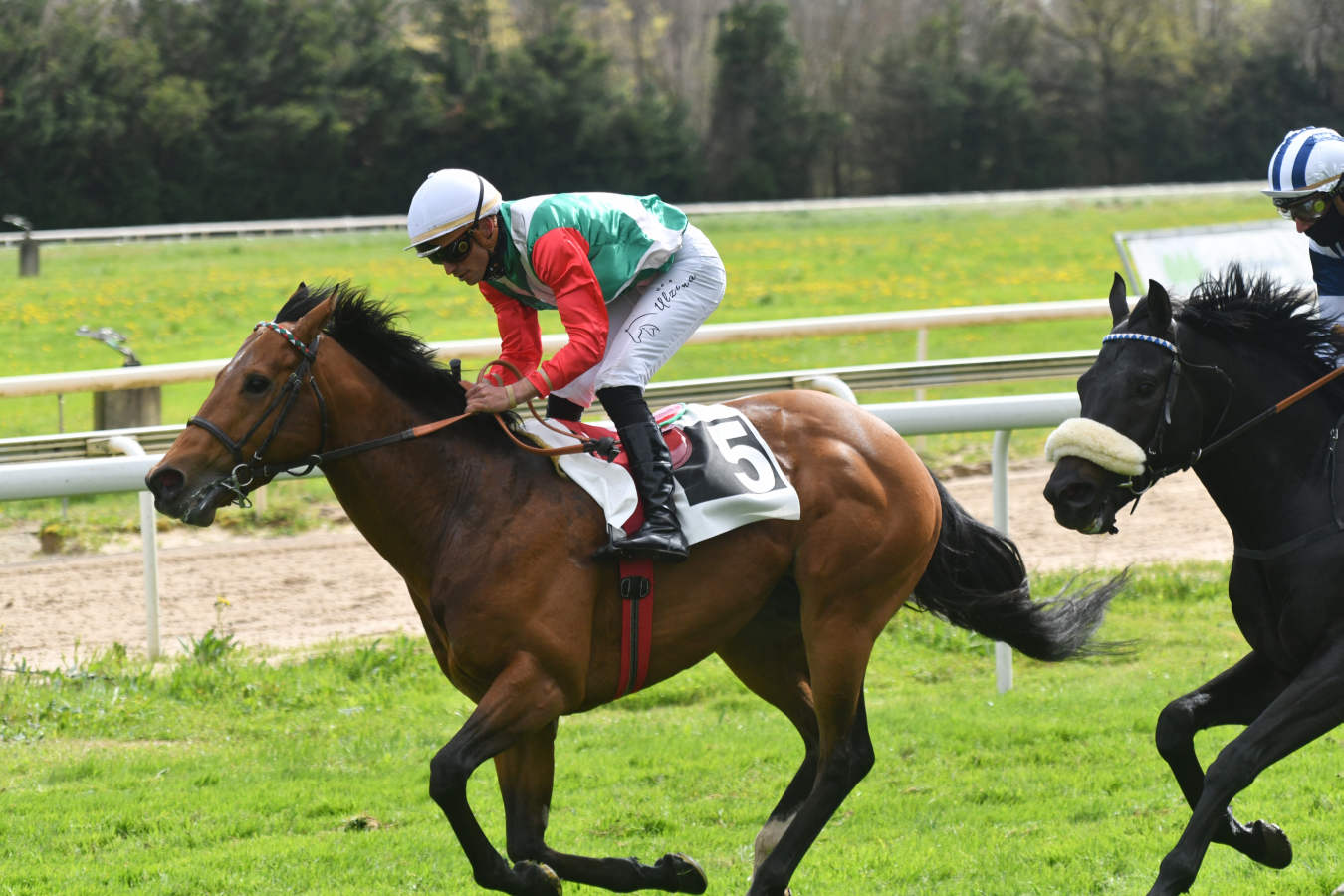 Por primera vez desde hace mucho tiempo, debido a la pandemia, se han vuelto a ver las gradas con aficionados. 