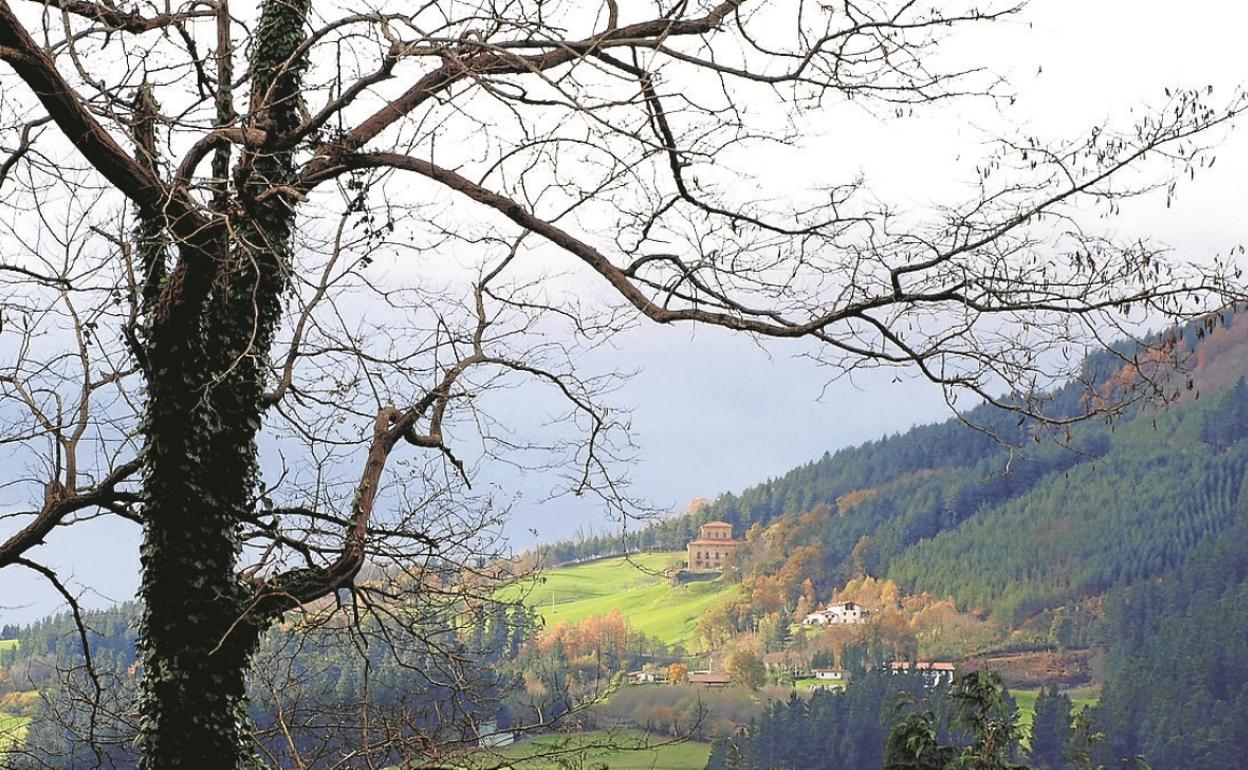 Laderas del monte Irimo donde hay paseos en la Naturaleza.