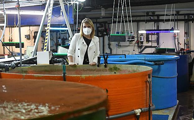 Imagen principal - Los peces del Aquarium de San Sebastian devoran más de 80.000 euros de comida al año