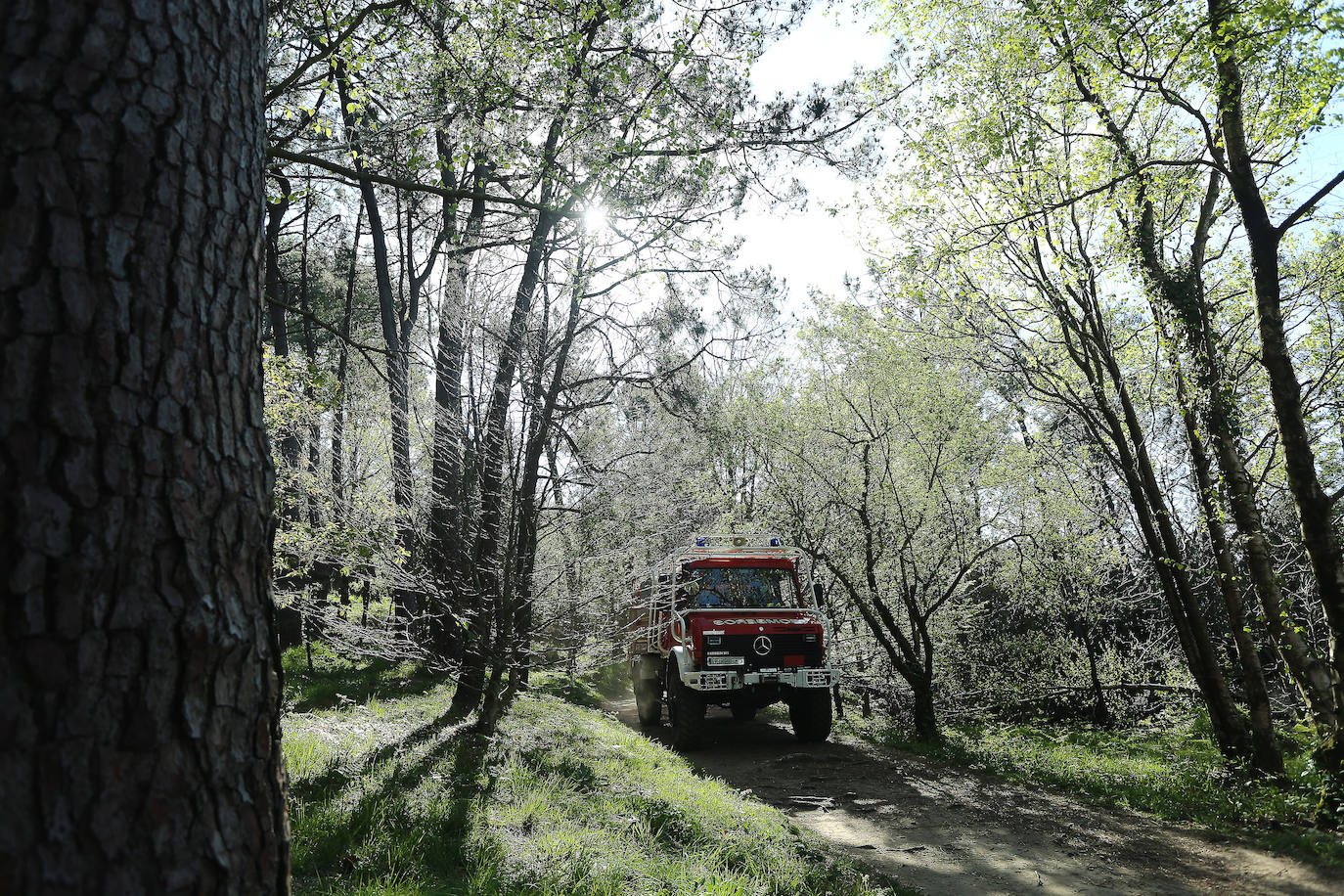 Fotos: Extinguido el incendio registrado esta madrugada en una zona forestal de Ulia