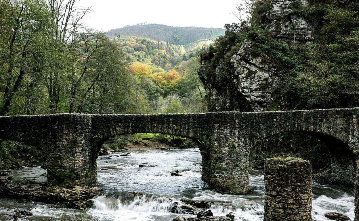 Salmónidos lance y mosca en el Leizaran