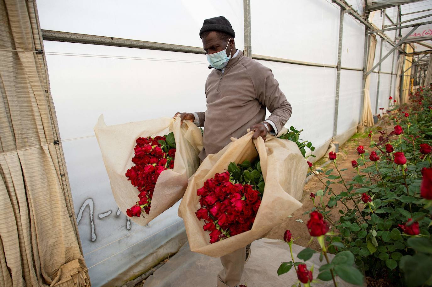 Fotos: Millones de rosas para Sant Jordi