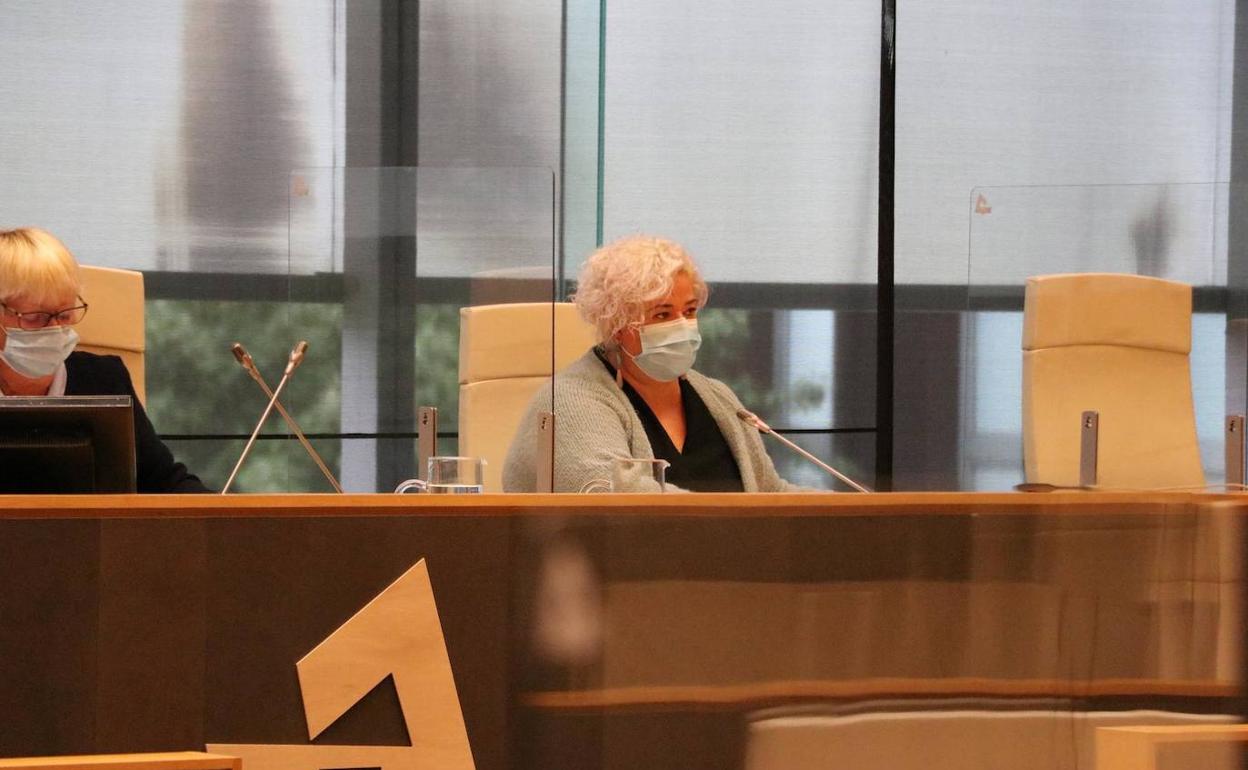 La diputada de Políticas Sociales, Maite Peña, en la Comisión de este lunes.