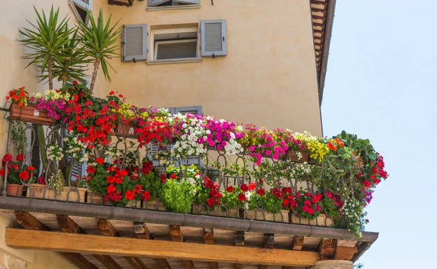 4 soluciones para llevar la primavera a terrazas y jardines | El Diario  Vasco