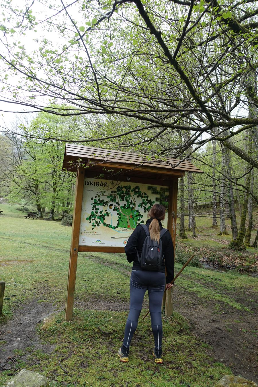 Discreta cima de la línea del Adarra, situada en la muga de Gipuzkoa y Navarra, cobija grandes tesoros a su alrededor