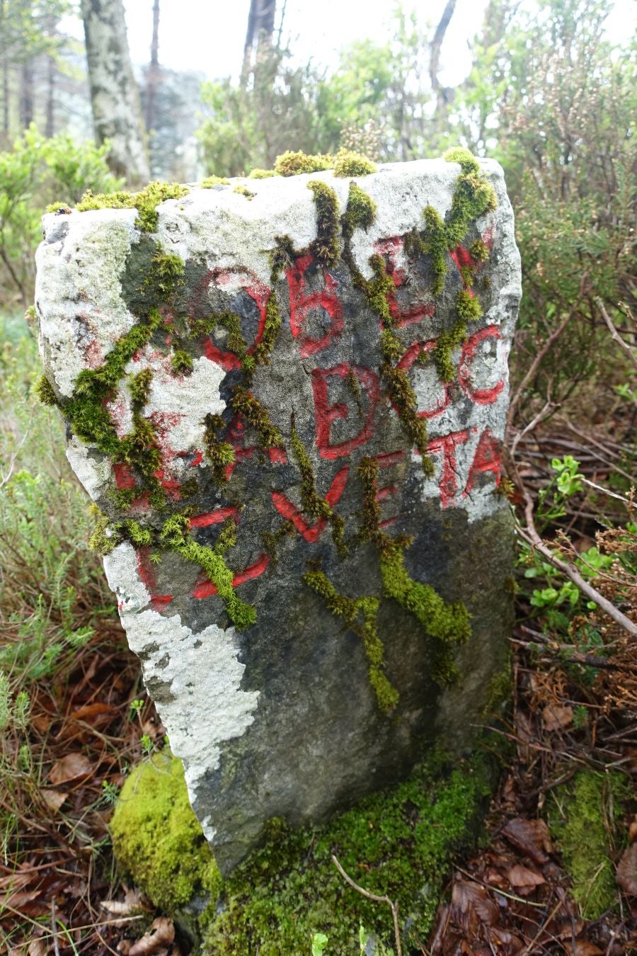 Discreta cima de la línea del Adarra, situada en la muga de Gipuzkoa y Navarra, cobija grandes tesoros a su alrededor