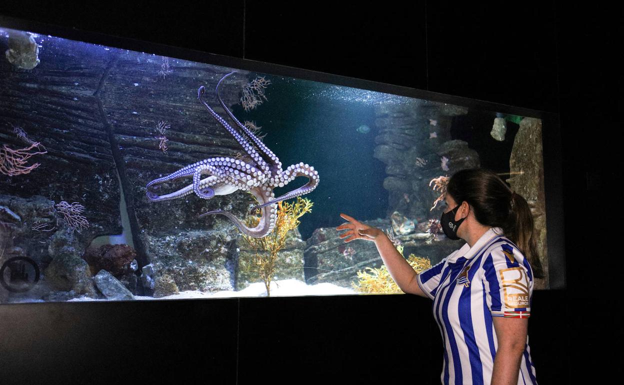 Una joven observa al pulpo Pello en el Aquarium de San Sebastián. 