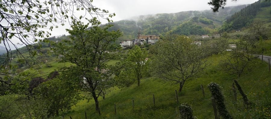 El mes de las flores convierte a Errezil, la localidad que se sitúa a los pies del monte Hernio, en el 'Jerte guipuzcoano' gracias a los miles de manzanos que se reparten por sus terrenos bajos. En este precioso rincón de Urola Costa, estos días el blancos de las flores de sus manzanos se mezcla con algunos tonos rosas, incluso fucsias en las abundantes flores que pueblan las ramas de árboles de extrañas formas.