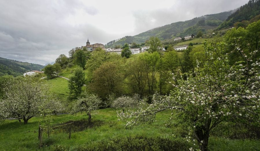 El mes de las flores convierte a Errezil, la localidad que se sitúa a los pies del monte Hernio, en el 'Jerte guipuzcoano' gracias a los miles de manzanos que se reparten por sus terrenos bajos. En este precioso rincón de Urola Costa, estos días el blancos de las flores de sus manzanos se mezcla con algunos tonos rosas, incluso fucsias en las abundantes flores que pueblan las ramas de árboles de extrañas formas.