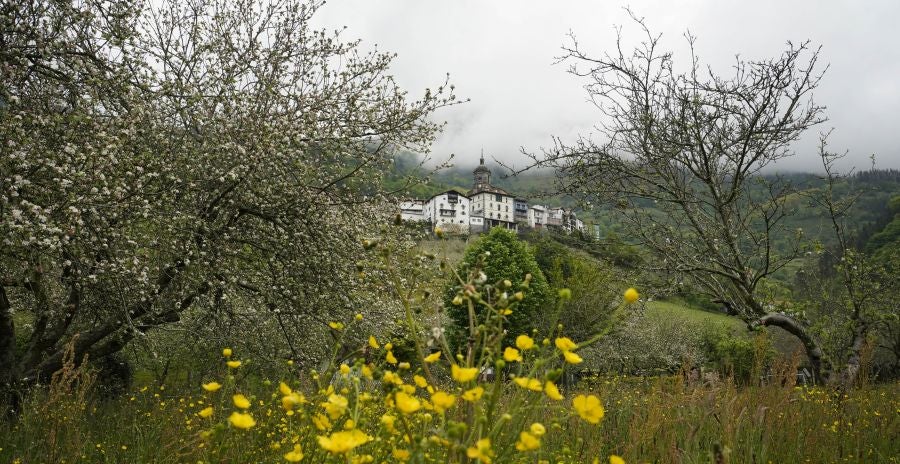 El mes de las flores convierte a Errezil, la localidad que se sitúa a los pies del monte Hernio, en el 'Jerte guipuzcoano' gracias a los miles de manzanos que se reparten por sus terrenos bajos. En este precioso rincón de Urola Costa, estos días el blancos de las flores de sus manzanos se mezcla con algunos tonos rosas, incluso fucsias en las abundantes flores que pueblan las ramas de árboles de extrañas formas.