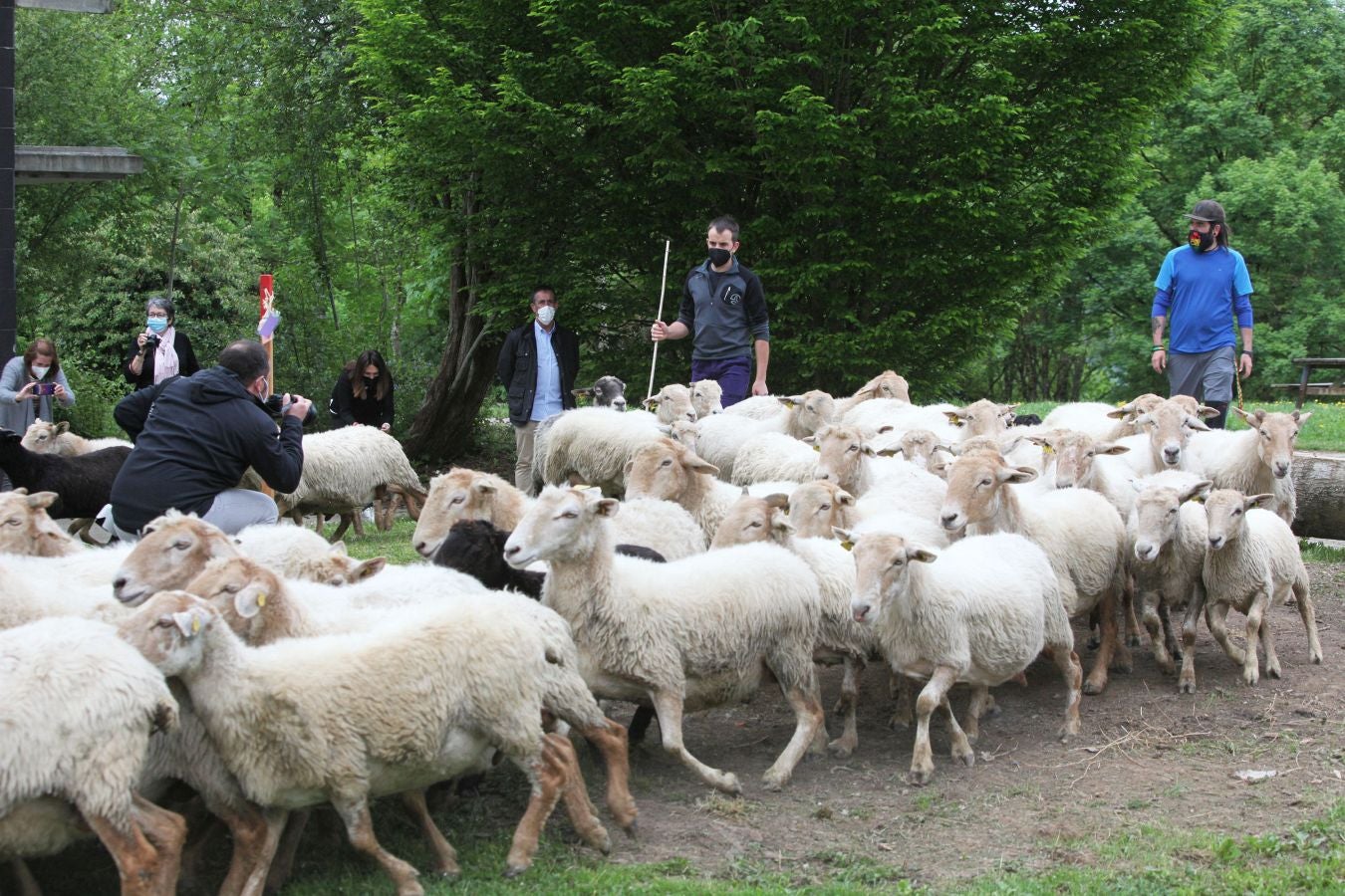 Fotos: Un queso de sobresaliente en Ordizia