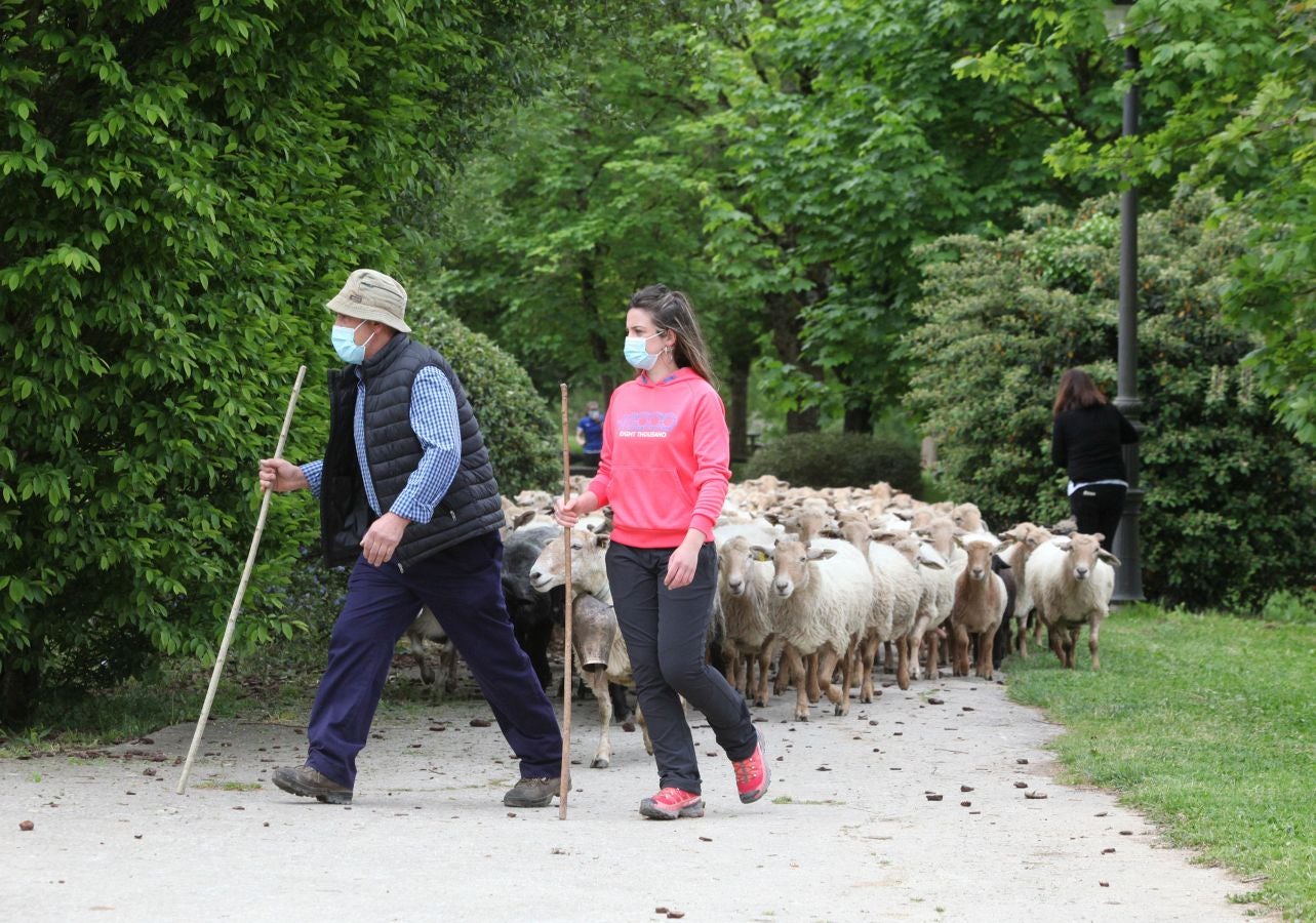 Fotos: Un queso de sobresaliente en Ordizia