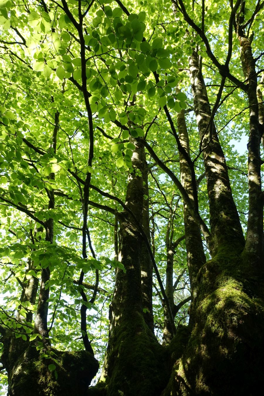 La cima del Alto Urola muestra algunas de las principales montañas de Gipuzkoa, llegando a Navarra