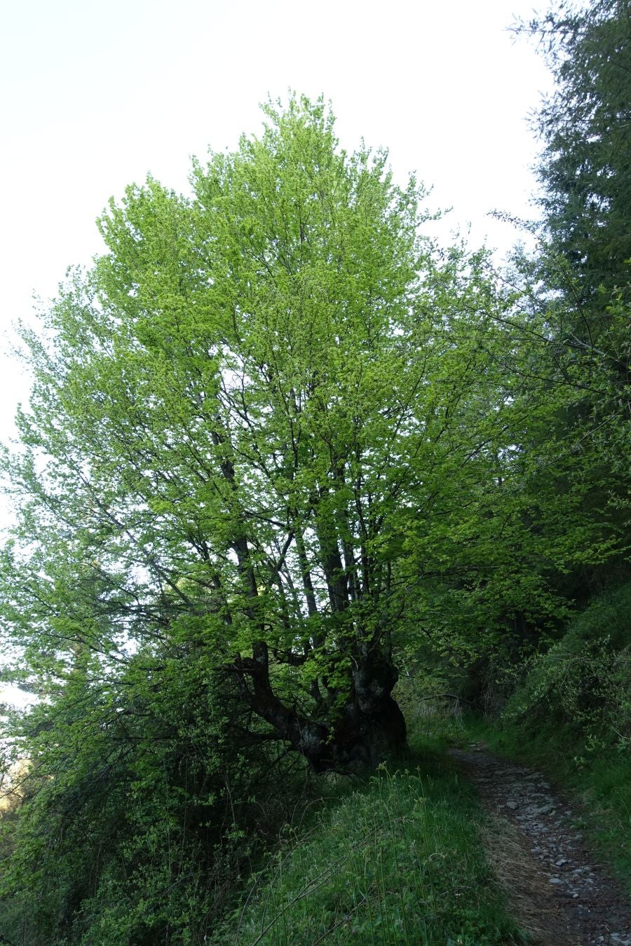 La cima del Alto Urola muestra algunas de las principales montañas de Gipuzkoa, llegando a Navarra