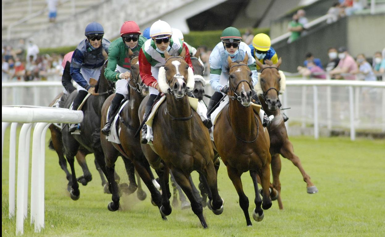 El hipódromo donostiarra acogerá quince jornadas entre junio y septiembre. 