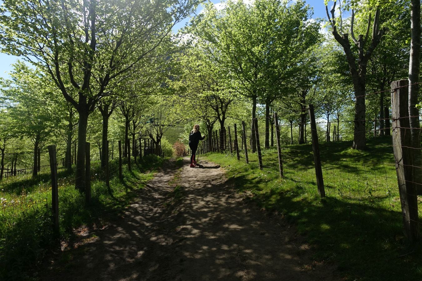 Cima discreta que se mantiene a la sombra de Hernio, entre el mar, el camino de Santiago y la venta en que descansó el gran patrón