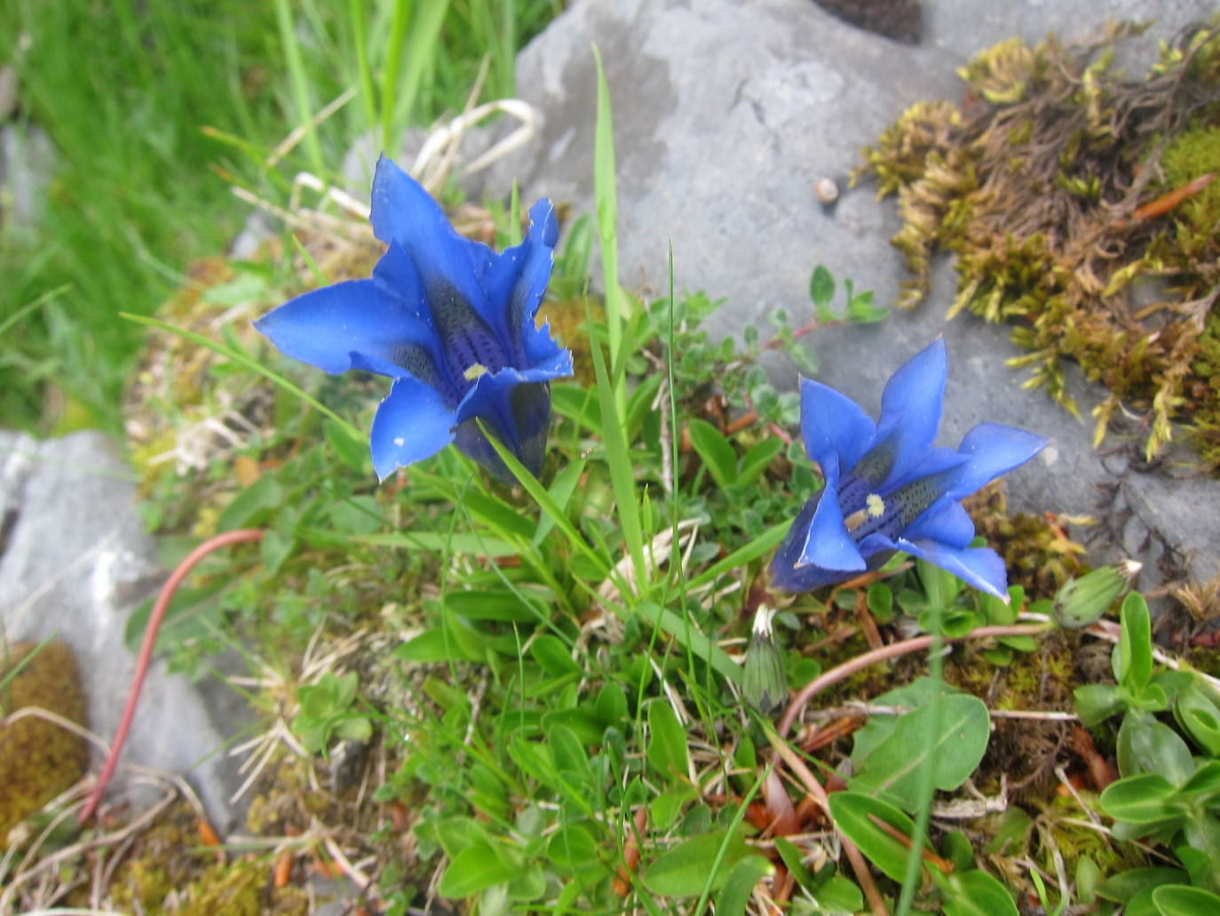 Fotos: Ascenso a Ireber (Navarra)