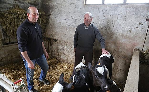 Mikel Arteaga junto a su padre, en el caserío Bulano de Asteasu, donde tienen 180 vacas. 