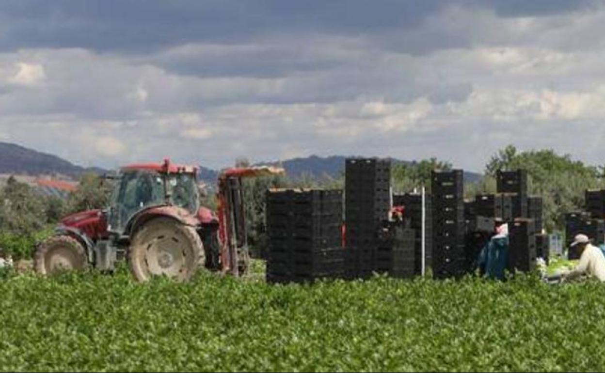 Juzgan en Francia a una empresa española de temporeros por fraude masivo