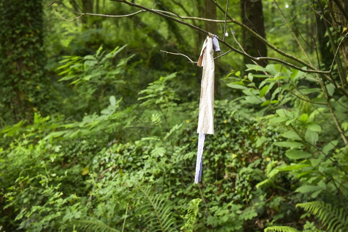 La jornada de los museos en Ur Mara, el espacio de Koldobika Jauregi que une en Alkiza naturaleza, pensamiento y arte, como un Chillida Leku silvestre.